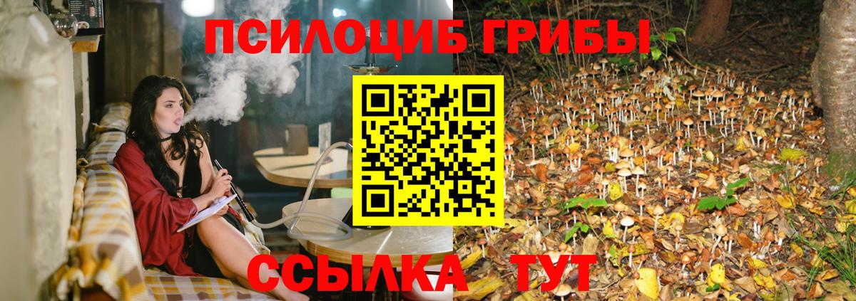 купить наркотик  Галлюциногенные грибы MAGIC MUSHROOMS  Вход с VPN  Псилоцибиновые грибы прущие грибы  Ливны 